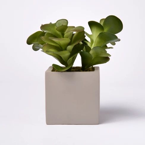 6.5" Artificial Succulent in Cement Pot - Lloyd & Hannah | Target
