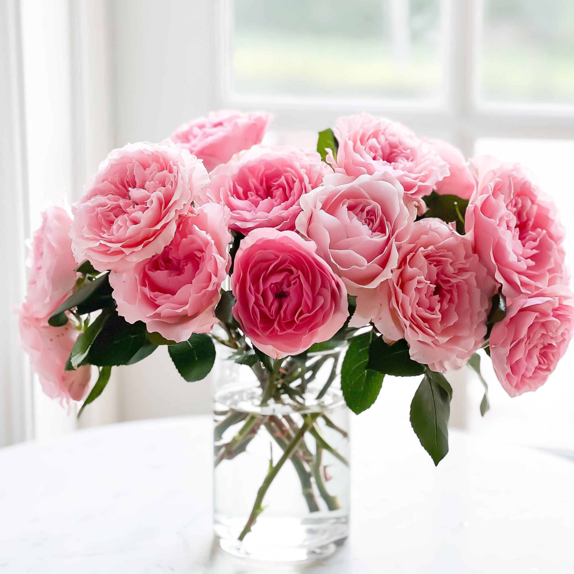 Estate Grown Grower's Choice | Grace Rose Farm