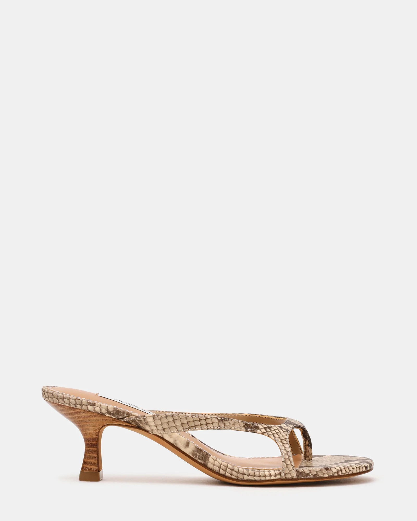 BRIENNA Snake Thong Women's Kitten Heel | Steve Madden (US)