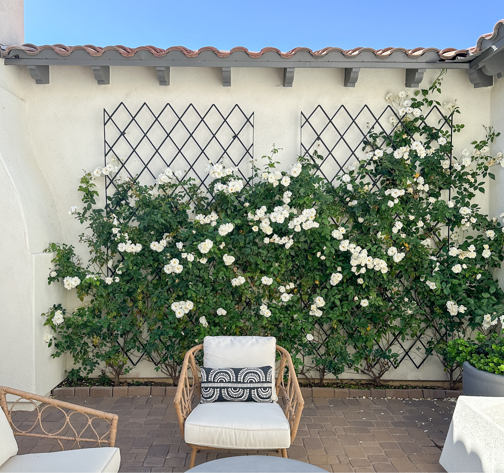 Similar trellis options for you! 

#LTKhome