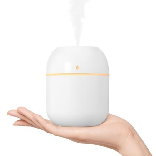 Portable Small Humidifier, USB Personal Desktop Humidifier for Car, Office Room, Bedroom, Auto Shut-Off, 2 Mist Modes, Super Quiet(220ml, White) | Amazon (US)