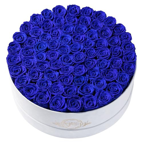 75 Preserved Roses in Suede Box – Luxury Rose Flower Arrangement, Preserved Flowers Gifts for Women, Wife or Mom – Birthday, Anniversary, Valentine’s Day, Mother's Day (Royal Blue) | Amazon (US)