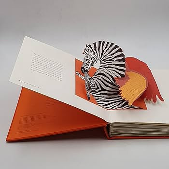 Hermès Pop Up | Amazon (US)