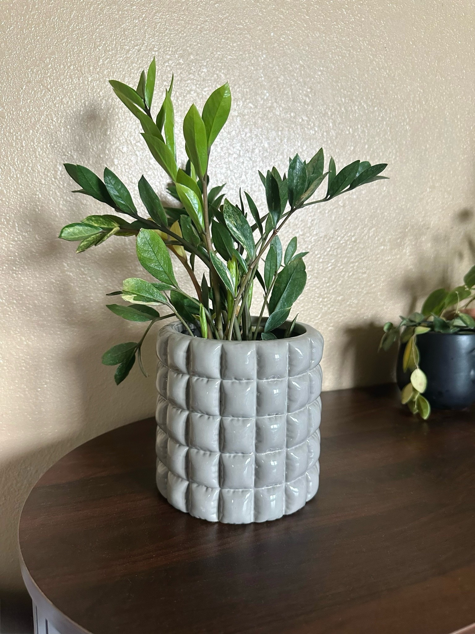 Decorative plant pot

#LTKHome