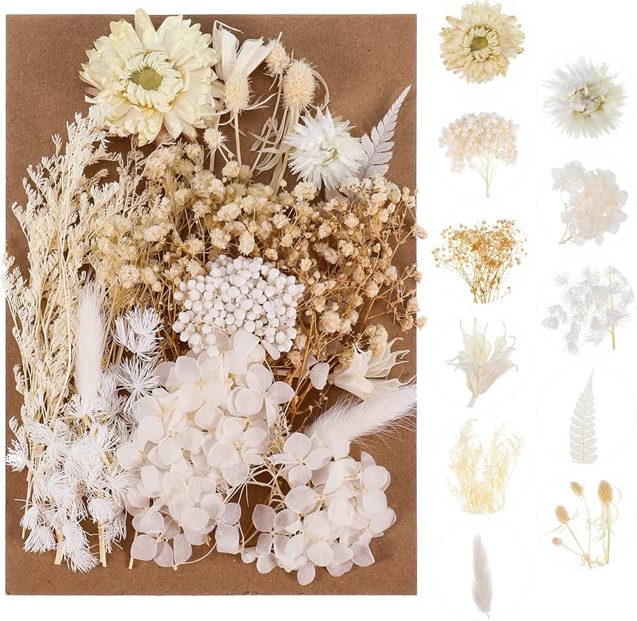 Real Dried Flowers, Natural Dried Flowers Mixed, Hydrangeas, Daisies, Natural Pressed Flowers Whi... | Amazon (US)