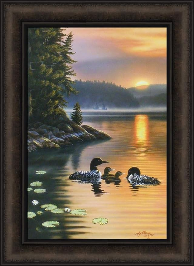 Edge of The Sun by Rick Kelley 16x22 Loons Lake Sunrise Sunset Framed Art Print Wall Décor Pictu... | Amazon (US)