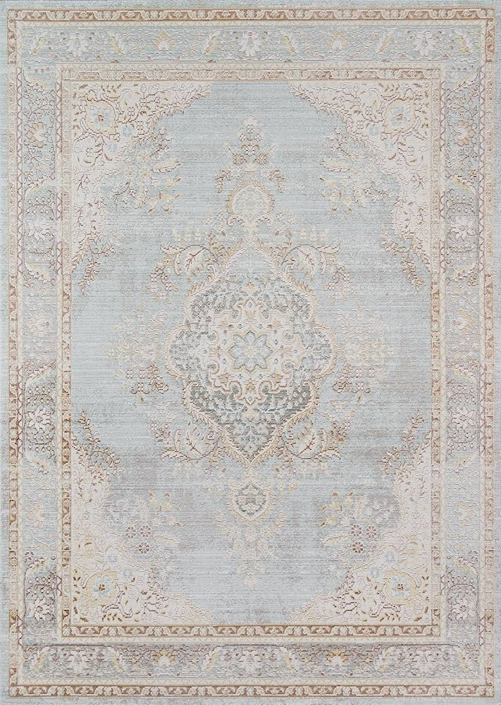 Momeni Rugs Isabella Traditional Medallion Flat Weave Area Rug, 9'3" X 11'10", Blue | Amazon (US)