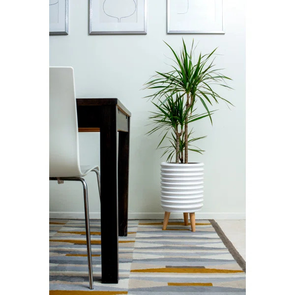 Windy Ceramic Pot Planter | Wayfair North America