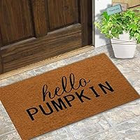 Maplehome zerbino Indoor Antiscivolo Ingresso Tappetino Tappetino di Gomma Divertente zerbino Est... | Amazon (IT)