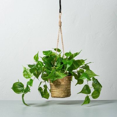 Faux Pothos Leaf Hanging Plant - Hearth &#38; Hand&#8482; with Magnolia | Target