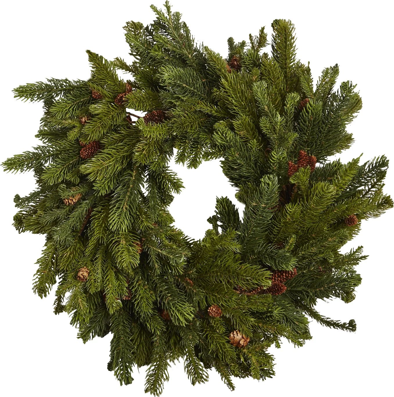 30" Pinecones Wreath | Wayfair Professional