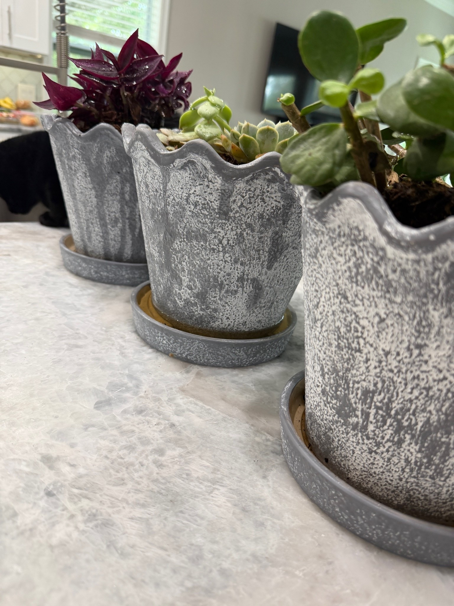 Love these ceramic flower pots from Walmart! The tray on the bottom is built-in, they are great quality and a gorgeous finish… Look beautiful on a countertop or windowsill! ￼

#LTKSeasonal