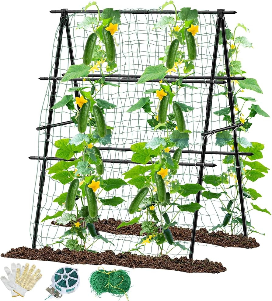 Cucumber Trellis, 31''X47'' A-Frame Cucumber Trellis for Raised Bed with Climbing Net, Metal Gard... | Amazon (US)