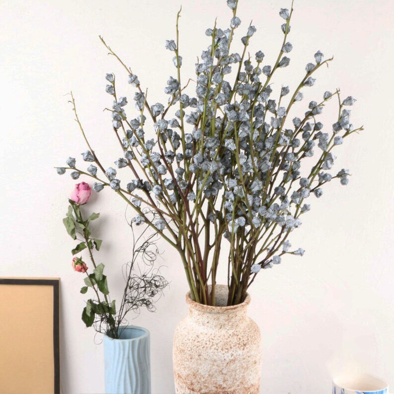 12/20  Dried Eucalyptus Fruits Bunchnatural Eucalyptus | Etsy | Etsy (US)