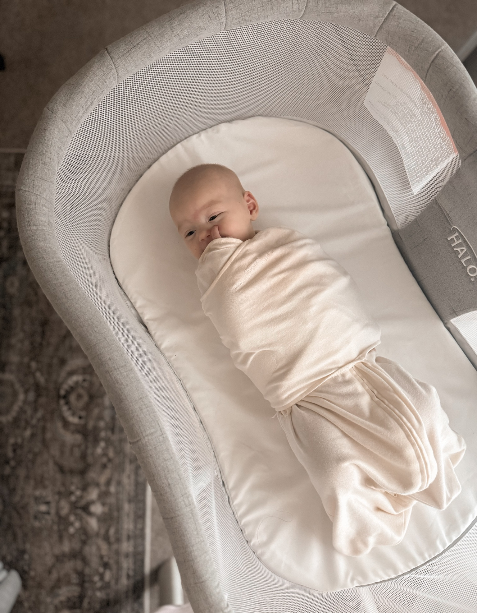 Halo Sleep Bassinet + Sleepsack Swaddle 30% off Amazon Prime Day Deals! #halosleep #gifted @halosleep

Amazon, Amazon baby, Amazon sales, halo sleep, newborn must haves, newborn sleep, new baby

#LTKBaby #LTKSeasonal #LTKSaleAlert