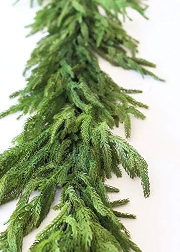Afloral Real Touch Norfolk Pine Garland - 60" - Wedding, Event and Home Decor | Amazon (US)