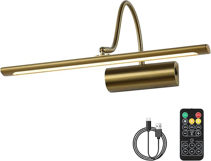 JOOSENLUX Battery Operated Picture Lights Gold Wall Lights Wireless Flexible Neck with Remote Rec... | Amazon (US)