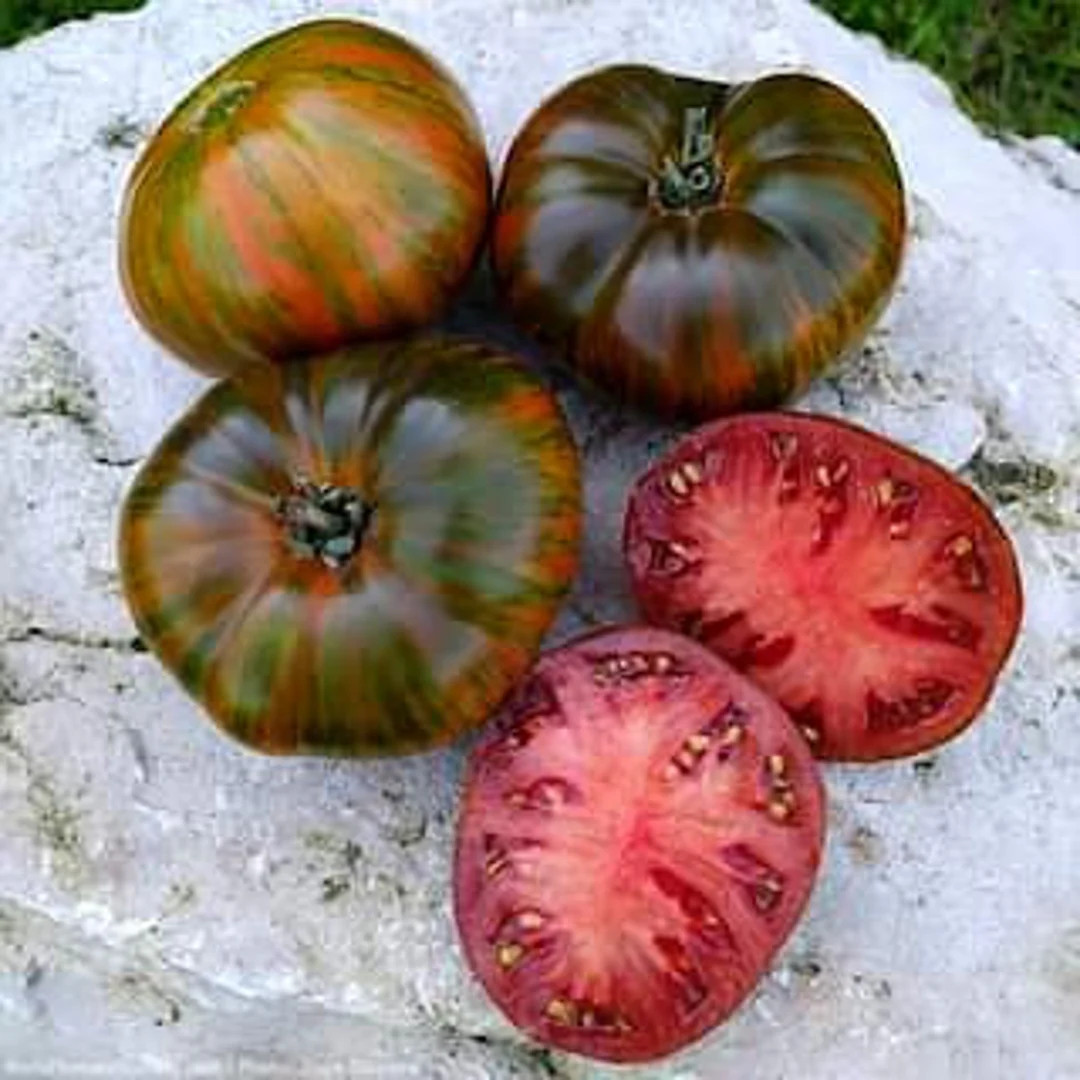 20 Organic Chocolate Stripes Heirloom Tomato Vegetable Seeds - Etsy | Etsy (US)