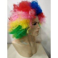 Kids Size Rainbow Afro Circus Multicolored Large Cosplay Wig | Etsy (US)