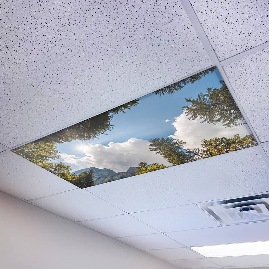 OCTO LIGHTS Magnetic Fluorescent Light Covers for Ceiling Lights Classroom 2x4 - Magnetic Classro... | Amazon (US)