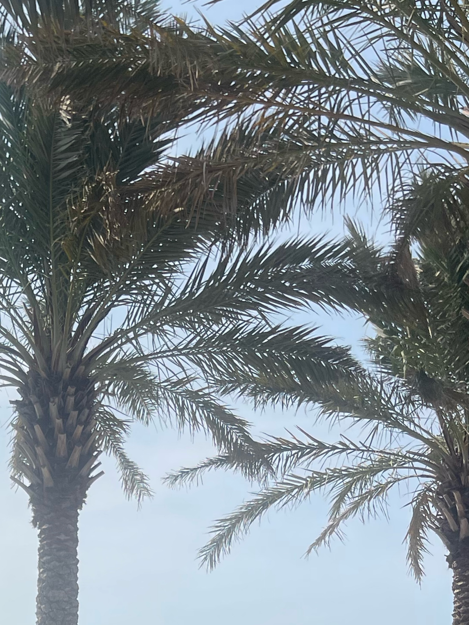 Arynne 

#LTKFitness #LTKTravel #LTKBeauty