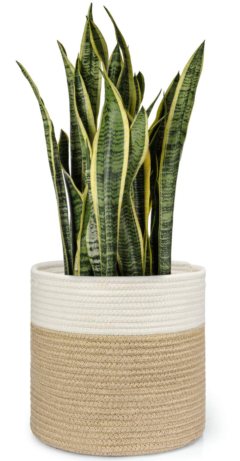 Dahey Jute Spliced Cotton Rope Plant Basket Modern Woven Storage Basket for 10" Floor Indoor Plan... | Amazon (US)