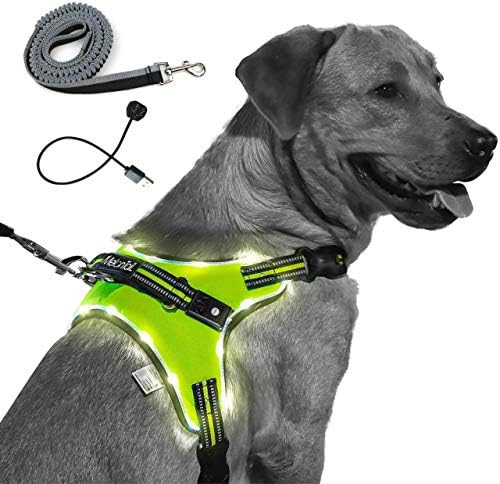 MelonTaiL Light Up Dog Harness with Bungee Leash-Rechargeable LED Light Dog Vest for Night Walkin... | Amazon (US)