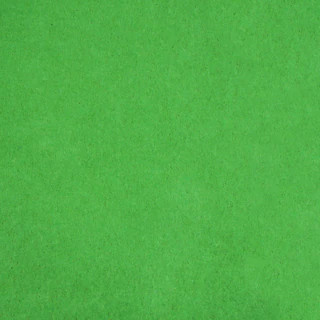 Festive Green Tissue Paper by Celebrate It™, 12 Sheets | Michaels Stores