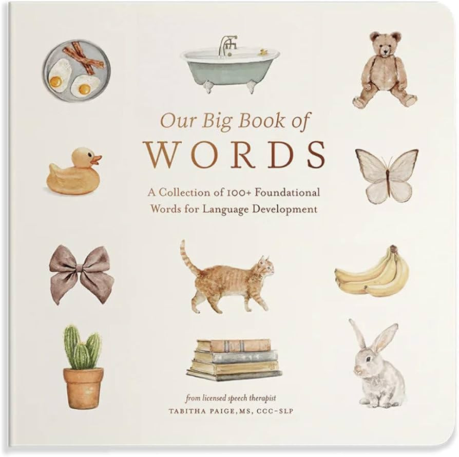 Our Big Book of First Words: A Collection of 100+ Foundational Words for Language Development (Ou... | Amazon (US)
