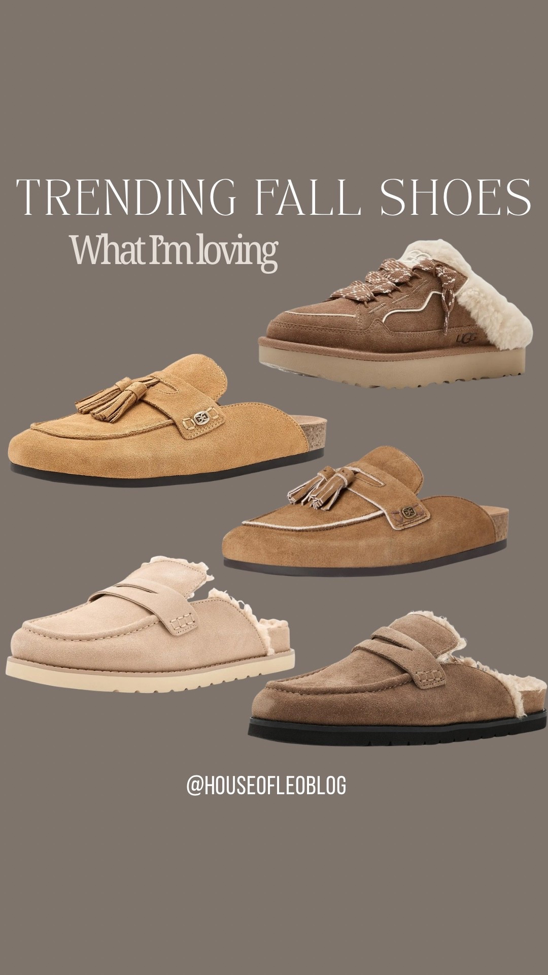 Clogs, fall shoes