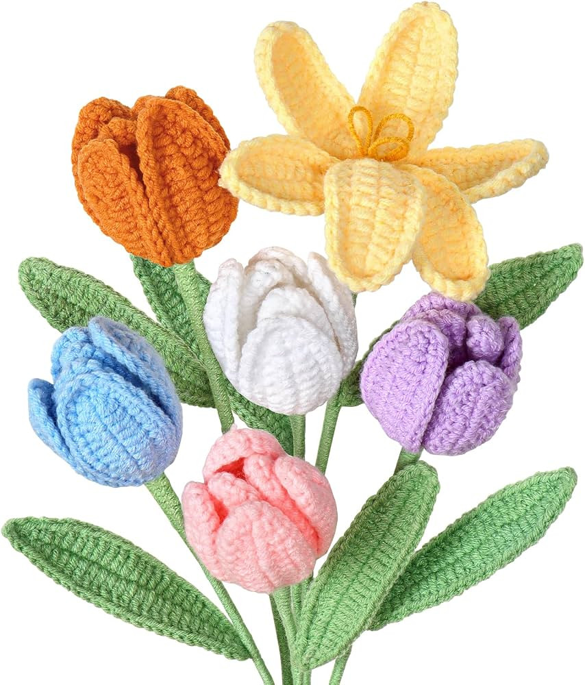 Dremisland Crochet Flowers 6PCS Crochet Tulips Finished Handmade Knitted Flowers Crocheted Bouque... | Amazon (CA)