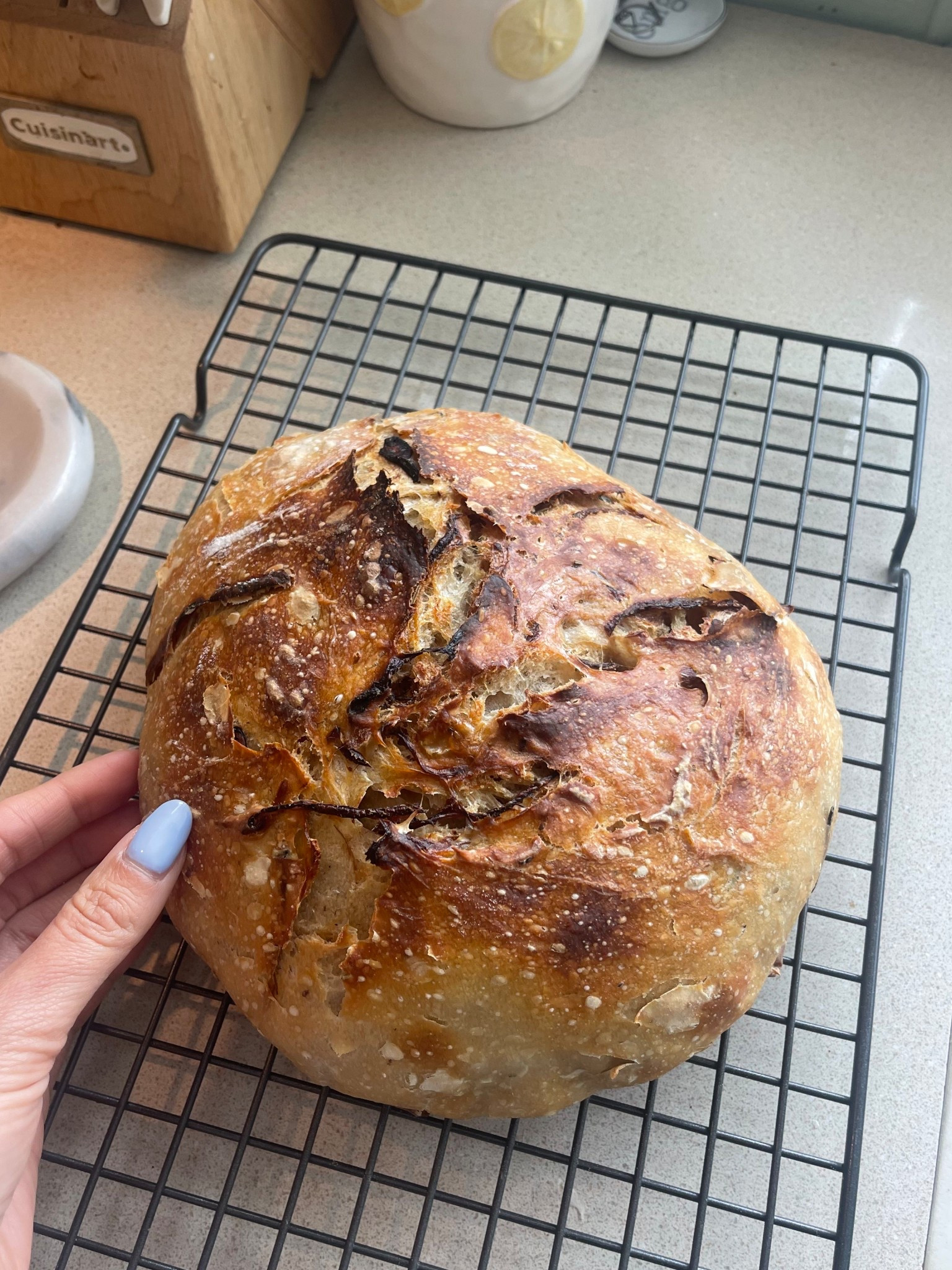 If you’re looking to get started with sourdough, here are some of my favorites to make a great loaf! 🍞

#LTKFindsUnder50 #LTKSummerEdit #LTKActive