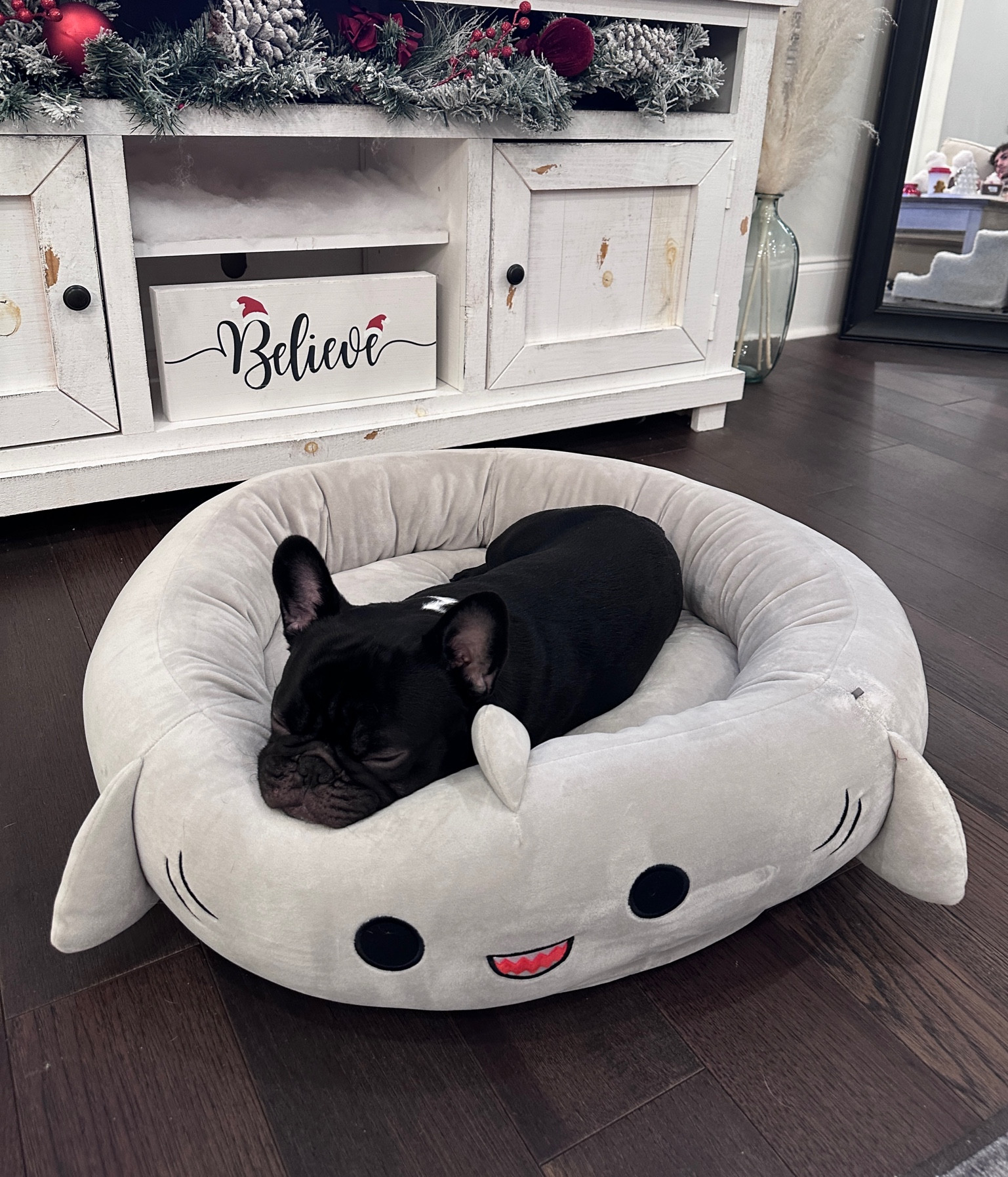 Squishmallow bed (size Large) - ON SALE🤍🦈

Dog beds, dog fashion, donut beds, pet finds, gifts for her, gifts for dog moms, squishmallows shark pet bed, dog essentials, puppy bed, dog finds, amazon dog, home decor, home finds, holiday finds, Christmas decor, Christmas ideas, Christmas Home decorations, family, dogs, pets, cats, dog mom, pet bed 

#LTKfindsunder50 #LTKU #LTKfamily #LTKCyberWeek #LTKhome #LTKsalealert #LTKSeasonal #LTKHoliday
