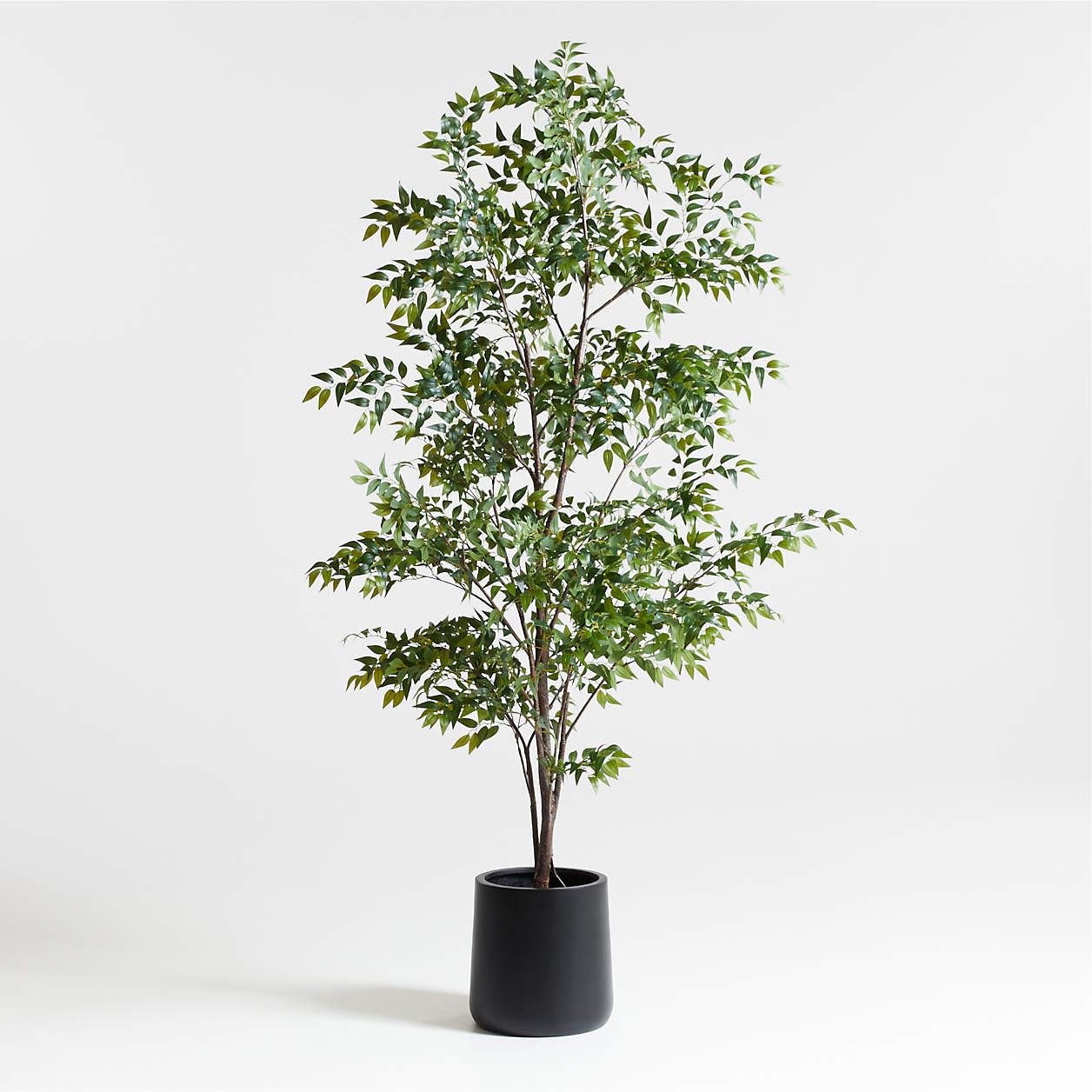 Artificial Ficus Tree 9' + Reviews | Crate & Barrel | Crate & Barrel