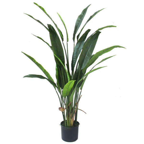 Bird of Paradise Silk Palm Plant in Pot | Wayfair North America