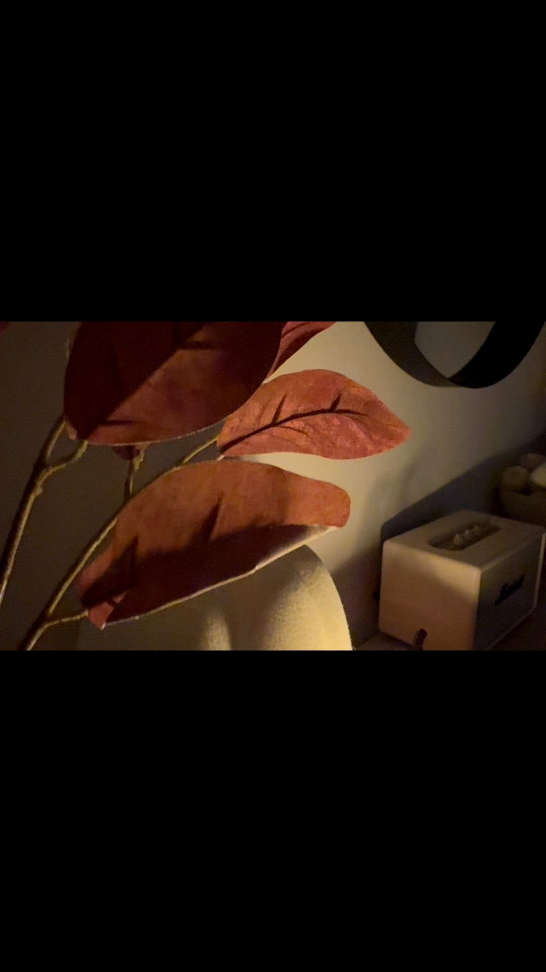 Cozy fall loving room 

#LTKHome