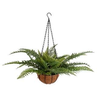 28" Fern in Hanging Basket by Ashland® | Michaels Stores