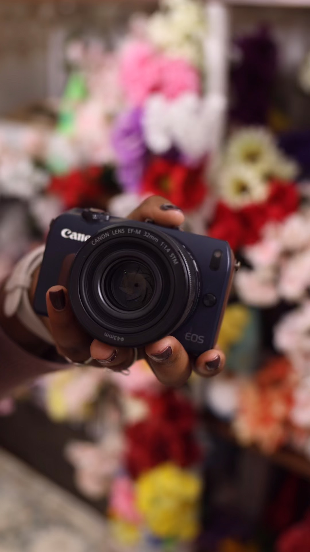 The $200 camera makes an appearance 🫡 #cheapcamera #camera #canoncamera 

#LTKHome #LTKTravel #LTKVideo