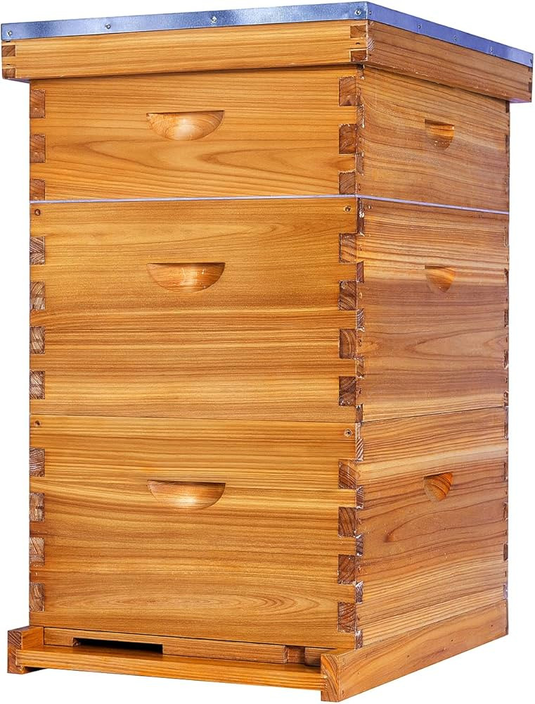 10-Frame Langstroth Bee Hive Complete Bee Hive Kit Beeswax Coated Include Beehive Frames and Waxe... | Amazon (US)