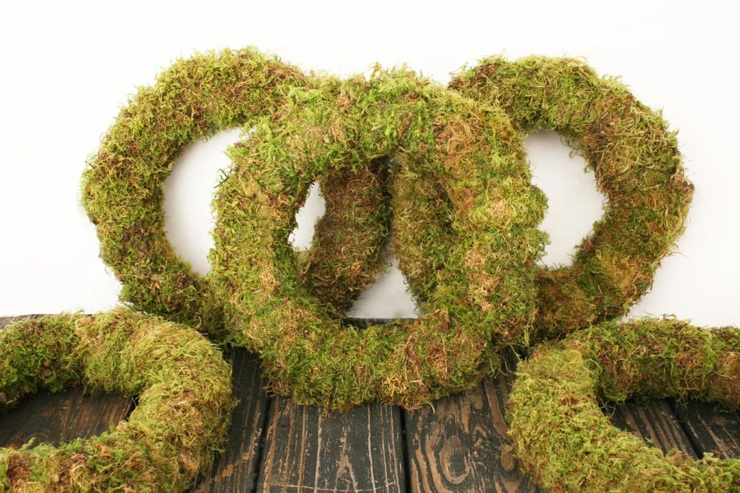 Wreath Oregon Moss Covered Wreath - Etsy | Etsy (US)