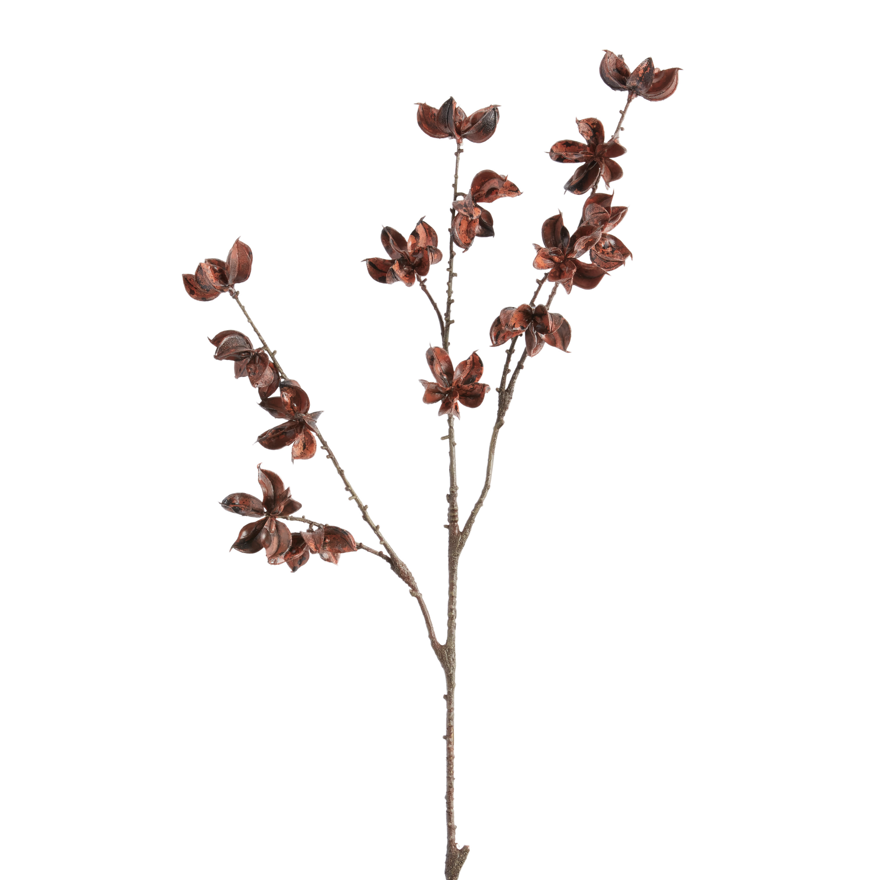 Faux Open Pod Spray | World Market