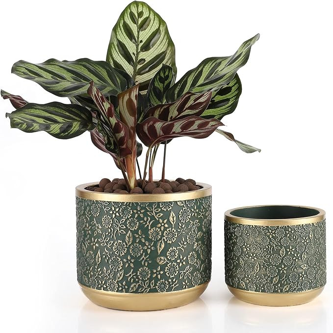 6 +4.4 Inch Cement Planter Decorative Pots with Drainage Hole for All House Plants, Succulents, F... | Amazon (US)