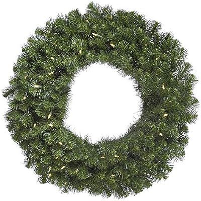 Vickerman 48" Douglas Fir Wreath with 200 Warm White LED Lights | Amazon (US)