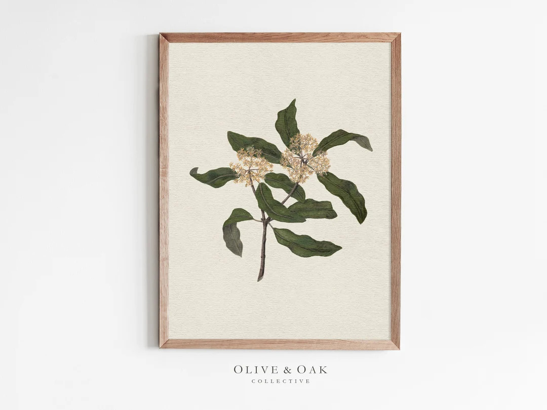 Vintage Botanical Print / Flower Wall Art / Printable Wall Art / Vintage Art Prints / #555 | Etsy (US)