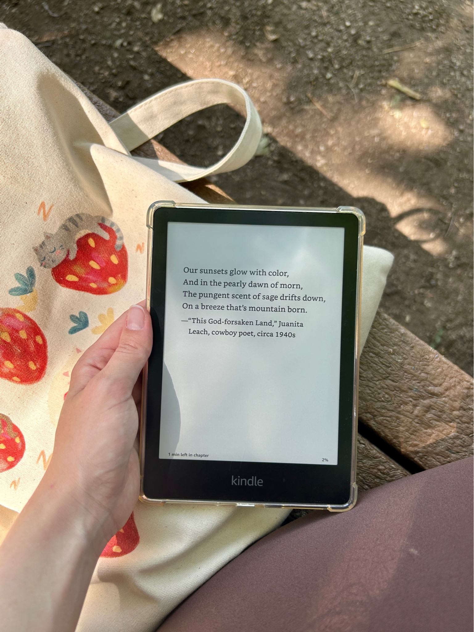 CR: Swift & Saddled by Lyla Sage part of the Rebel Blue Ranch series.