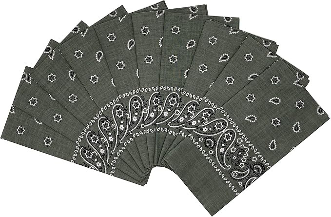 Vamqor 100% Cotton 10 Pack Fine Bandanas | Amazon (US)