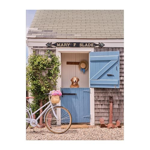 Galison Gray Malin Nantucket – 1000 Piece Book Puzzle with Dreamy Nantucket Photography Packaged in Magnetic Keepsake Book Sized Box | Amazon (US)