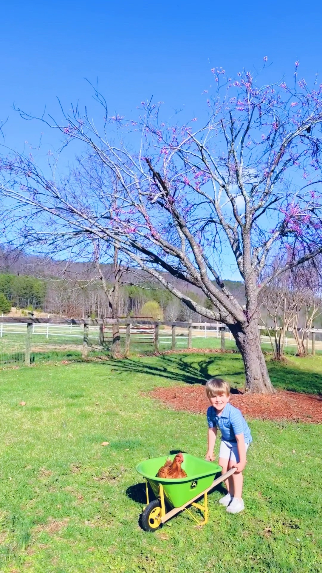 s p r i n g  o n  t h e  f a r m 🌸🚜🌳 truly is something magical y’all!! 