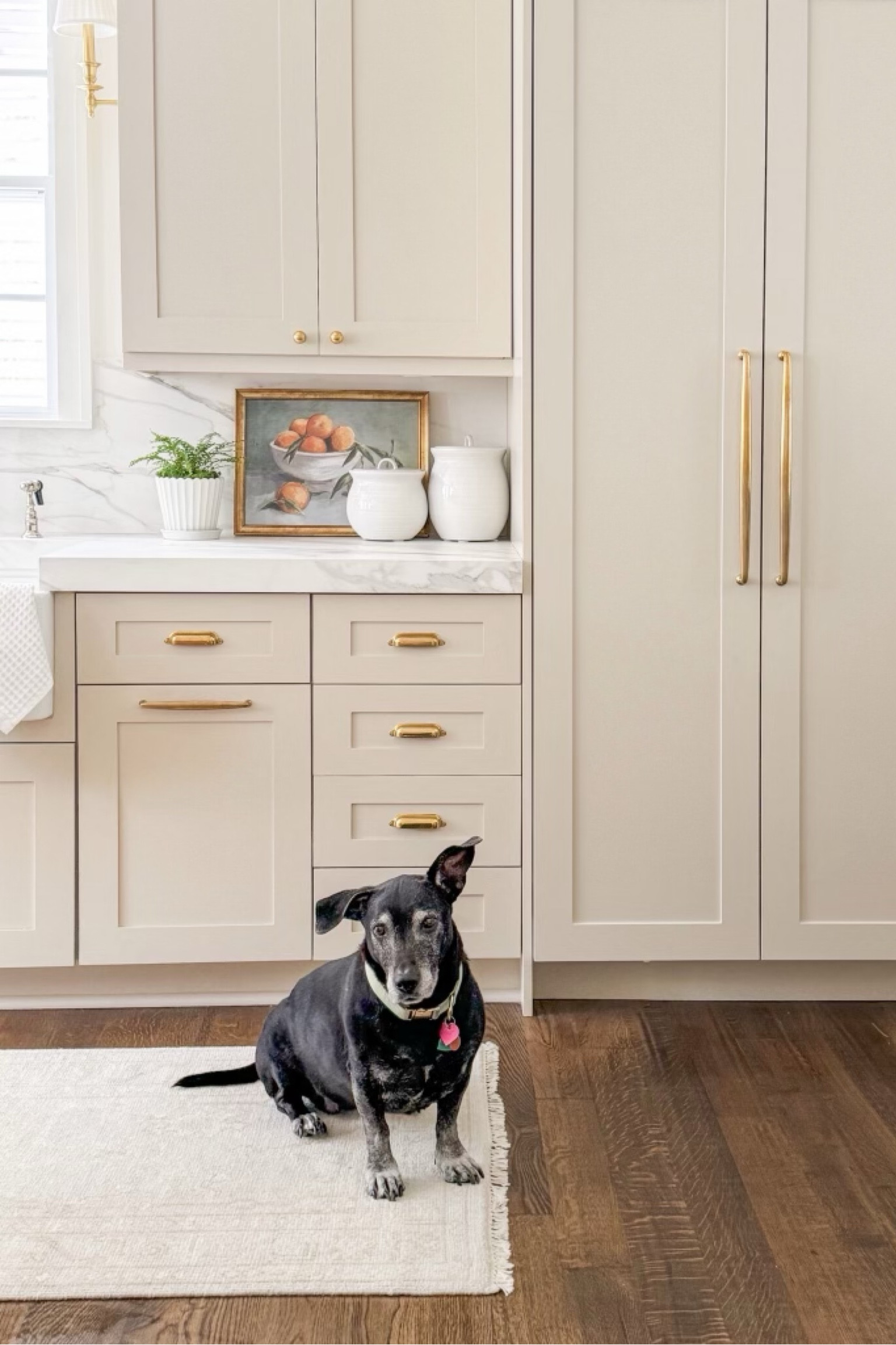 Target circle week is HERE! Save big on my kitchen canisters & kitchen artwork shown above! 

#LTKSaleAlert #LTKSummerSales #LTKxNSale