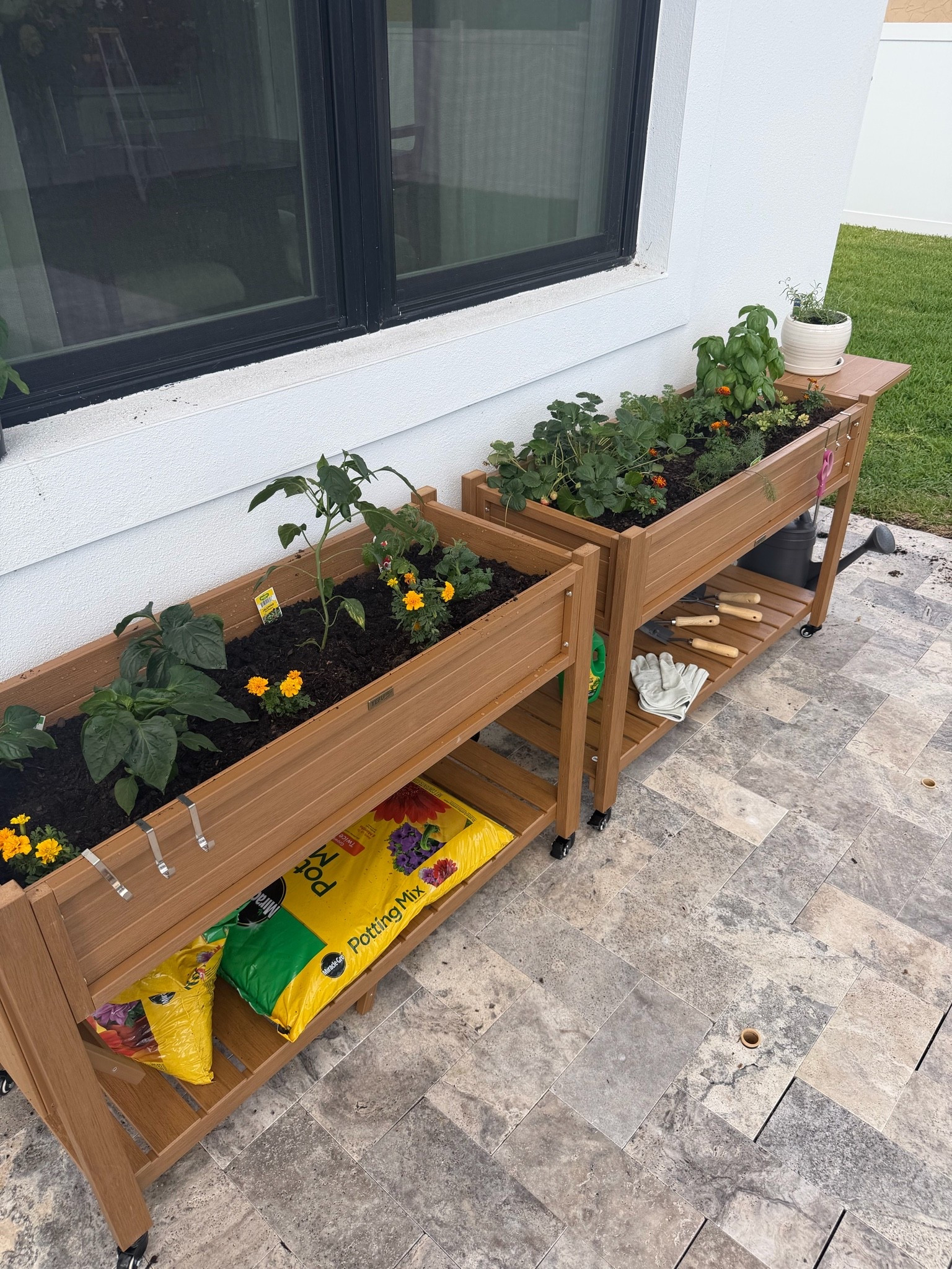 #AD staying outside this summer is so easy when I have all these new fun gardening & outside accessories all from @wayfair #wishyouwerehere #outdoor #wayfair #wayfairpartner
